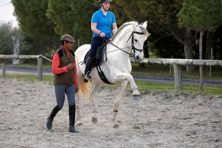 Ecuries Exclusive Dressage