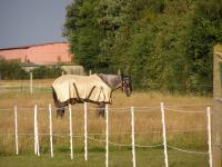 Particulier