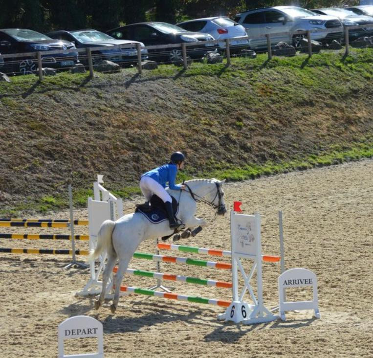 Vente de poney