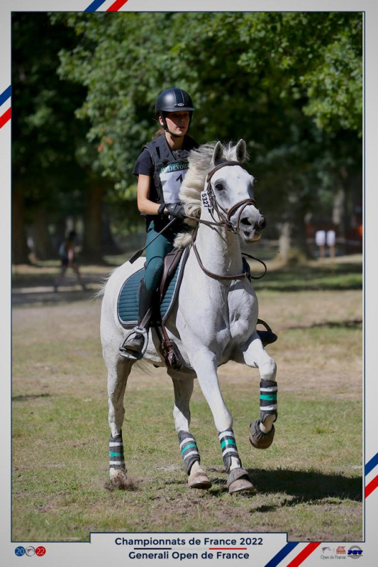 Vente de poney