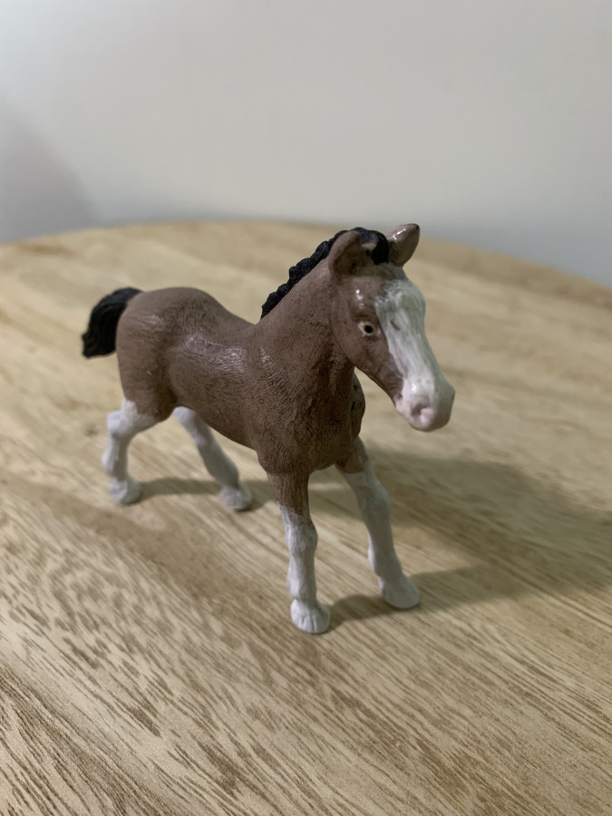 Pouliche schleich