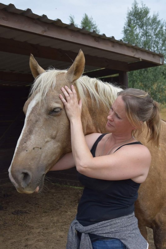 Initiation au Shiatsu équin | ChevalAnnonce.com