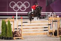 Vente de cheval : NEMETOR DE THORNE