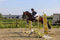 Vente de cheval : Jump des Rves