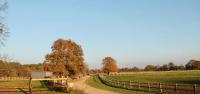 Location Haras