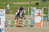 Vente de poney