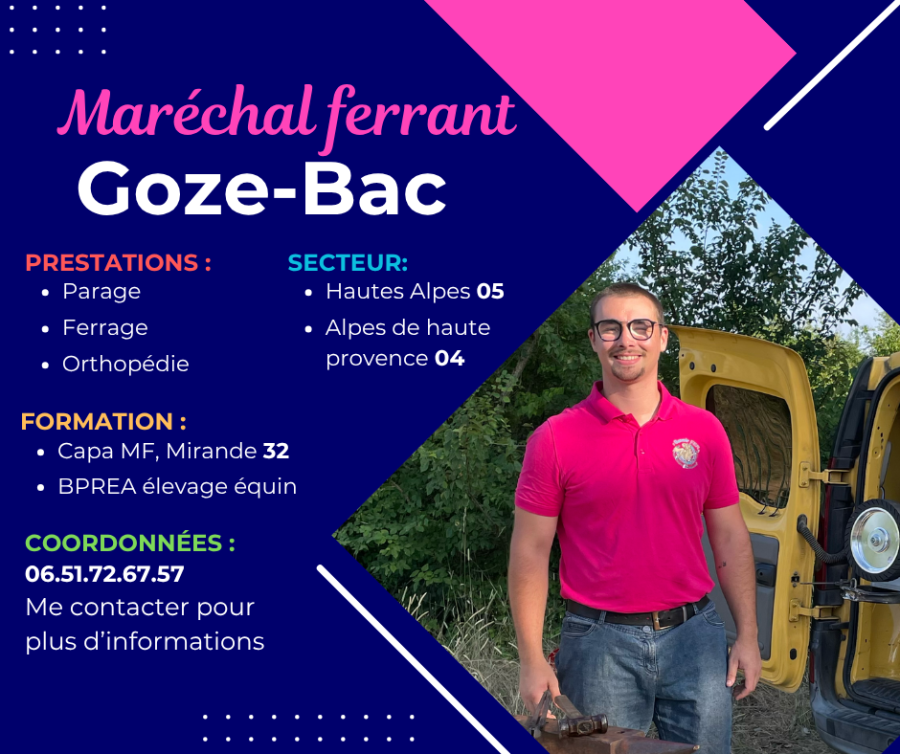 Goze-Bac Marchal ferrant 05 04