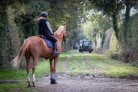 Vaincre les peurs du cheval ! On en rve tous.