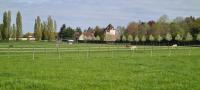 Haras de roize