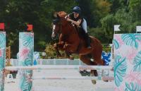 Vente de cheval : Vegas du riez 