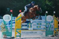 Vente de cheval : Vegas du riez 