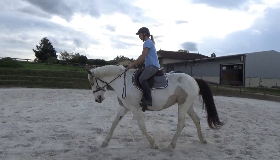 Vente de cheval : Kaliska des potheys 