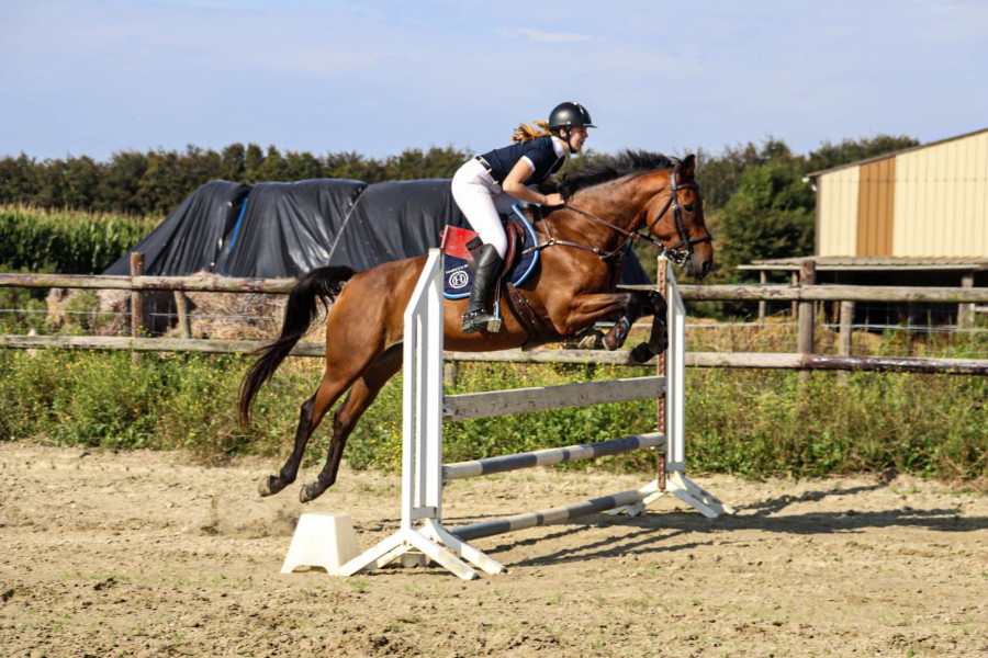 Vente de cheval : Cocochane du Bechet