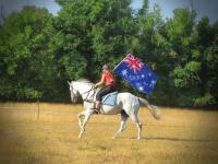 Vente de cheval : First
