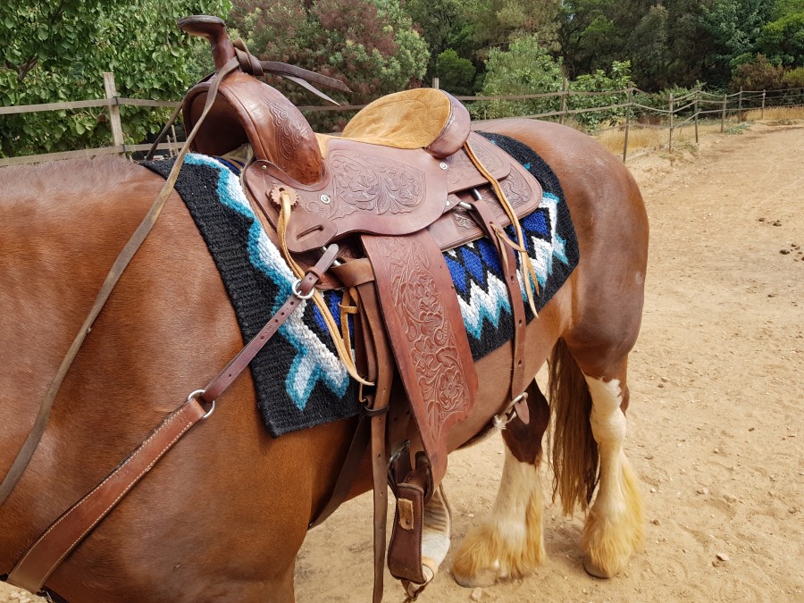 Garde-boue Western Synthétique Marron - Doublé Daim, Taille Réelle, Pour Selle Western, équitation