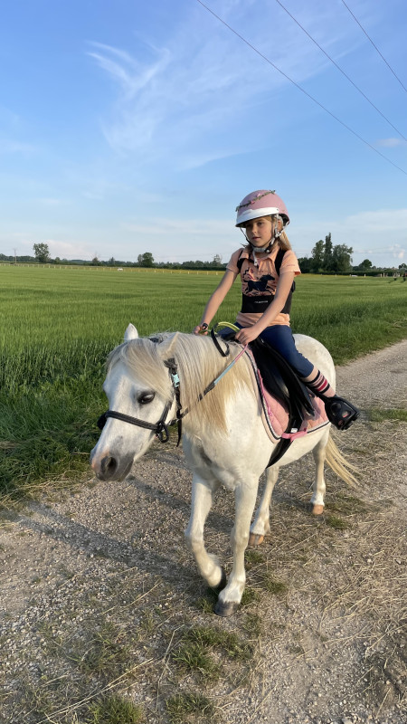 Vente de poney