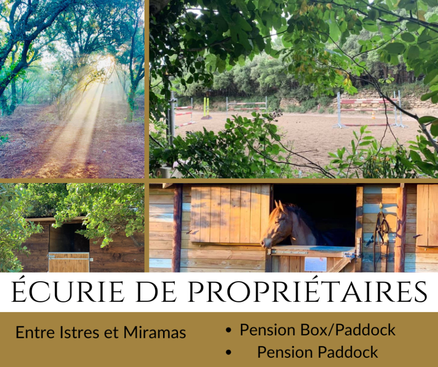 Pension de propritaires