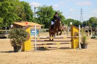Vente de cheval : Allegria de Co'Rail