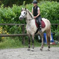 Vente de poney