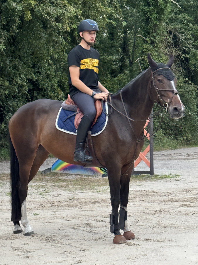 Vente de cheval : Fly La Majorie 