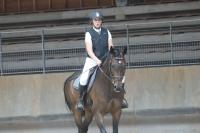 Vente de cheval : DANS LE MIL
