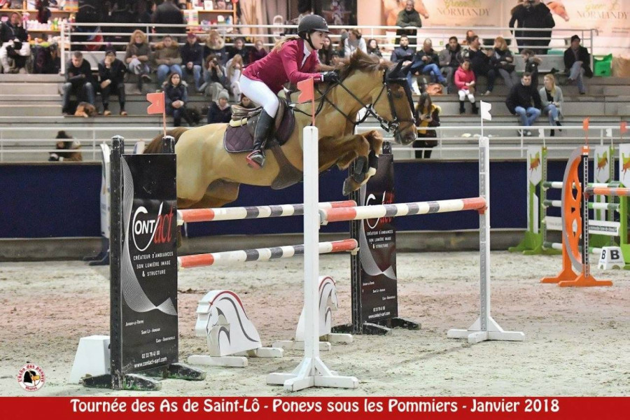 Recherches D Emploi Equestre Chevalannonce Com