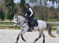 Vente de poney