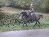 Vente de cheval : SANKA