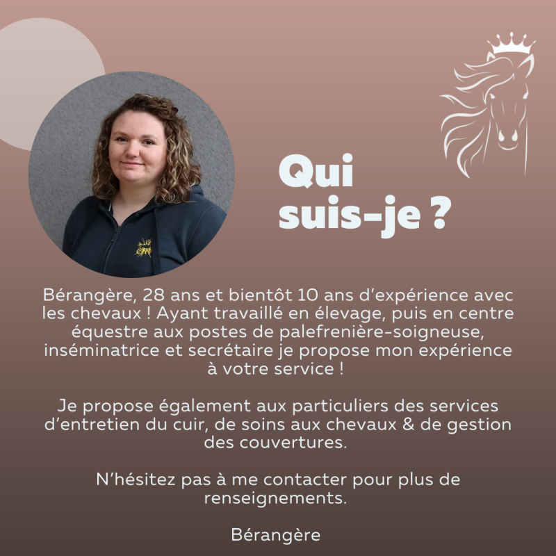 Equi-Prestige Services