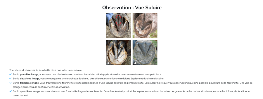 Formation en ligne ? Guide complet du propritaire