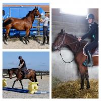 Dbourrage, Dressage, Valorisation