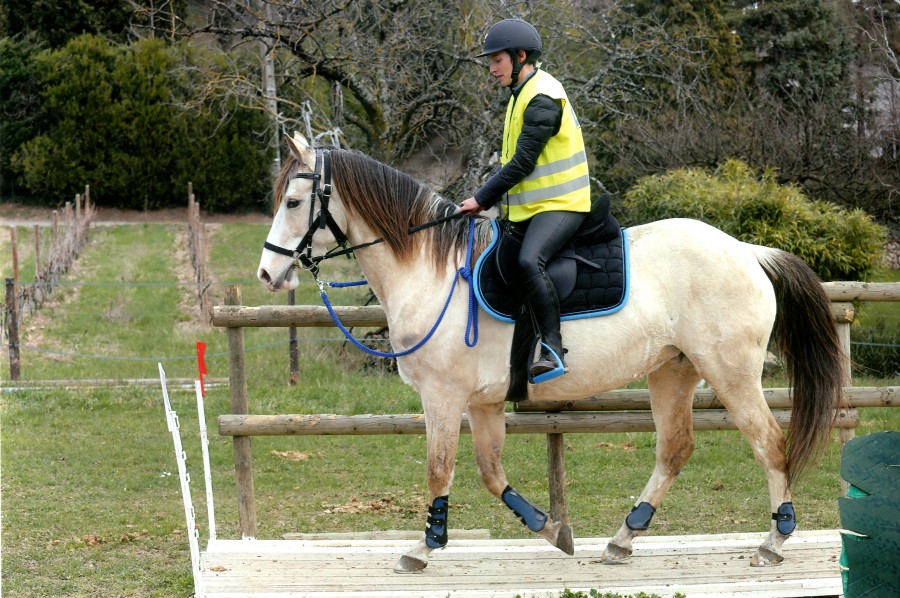 Le Cavalier S En Sert Pour Stimuler Son Cheval