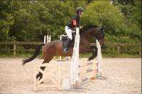 Vente de cheval : Pp