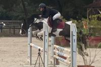 Vente de poney