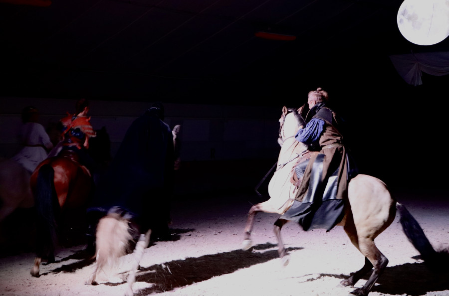 Vente de cheval : Karel de Fontcaval