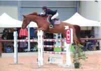 Cavalire monitrice indpendante Dejeps