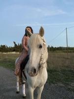 Vente de cheval : SAUGE