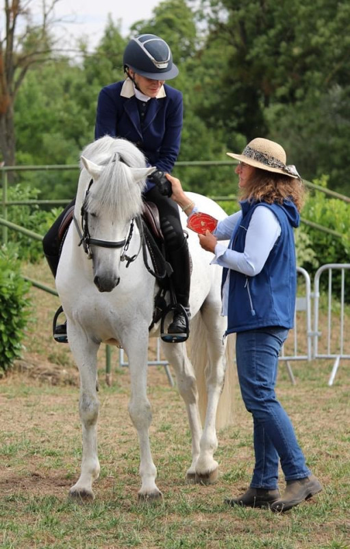 Vente de poney
