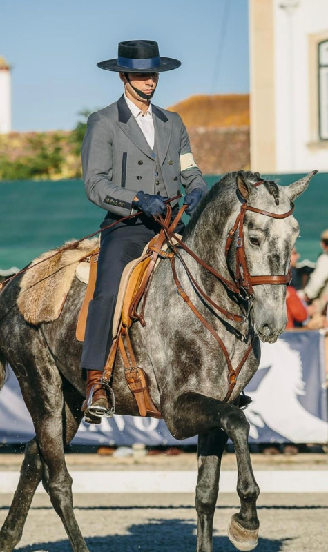 Vente de cheval : Opio