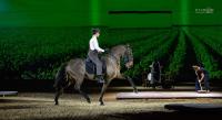 Monitrice & Cavalire indpendante