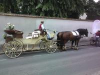 Landau