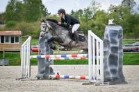 Vente de poney