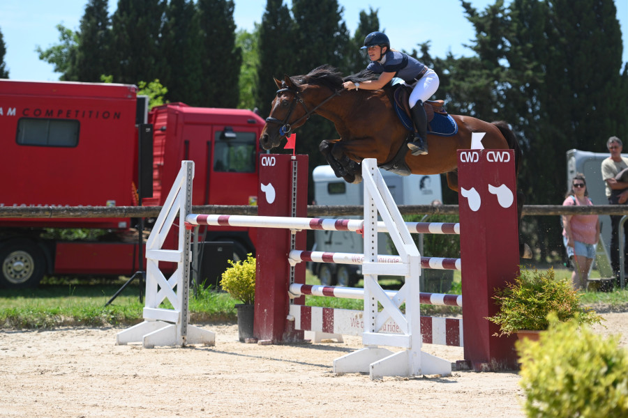 Vente de cheval : Quickly des Premices Z