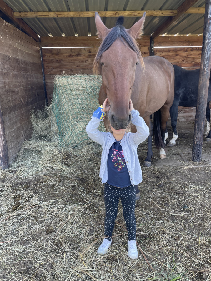 Vente de cheval : Jongleur de larre