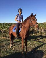 Vente de cheval : Belle