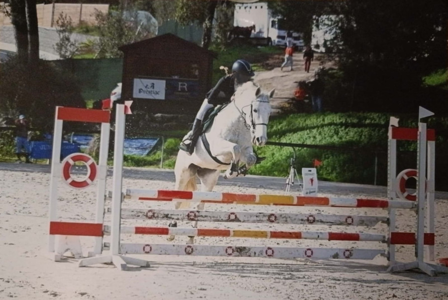 Vente de cheval : Carlotta