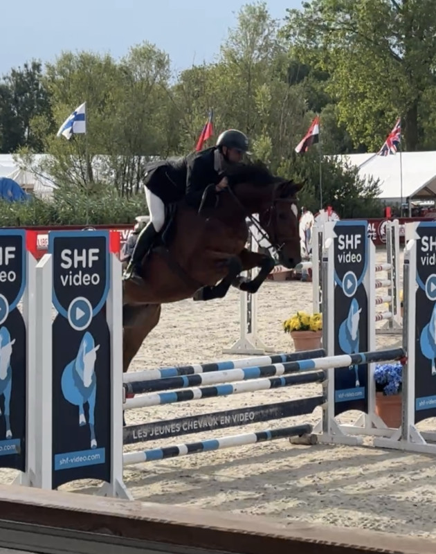 Vente de cheval : JJ val de mai