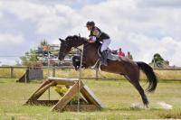 Vente de cheval : Dsir des Demoiselles