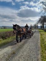 Prsentation en calche