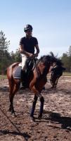 Vente de cheval : K......